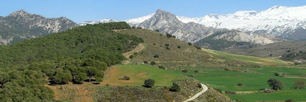 Casas rurales en Sierra Nevada